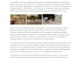 write SEO optimized blog posts and articles